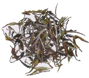 White Tea - White Peony