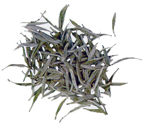 White Tea - White Eyebrow Silver Needles